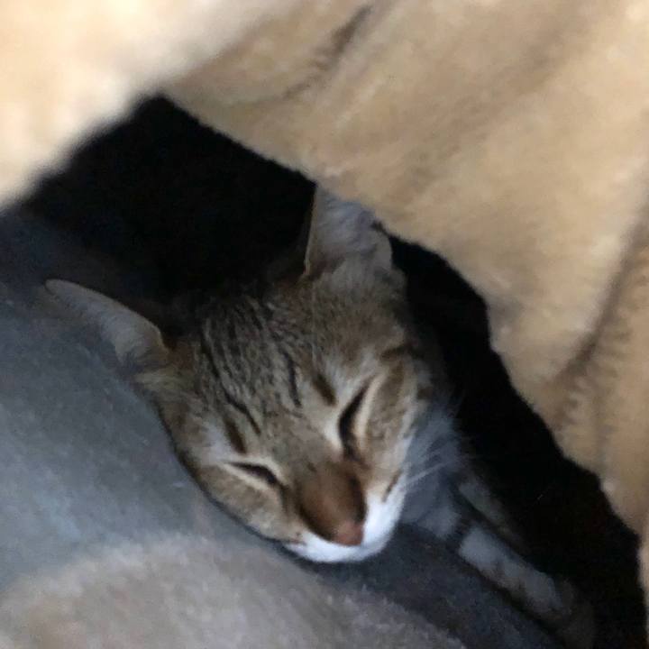 B69f50d5 9fba 49c3 952f 6289ac00195a 1611578560849