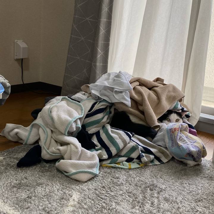 B69f5a19 36a5 4c4f b1d3 e7f9d41c273d 1617180306767