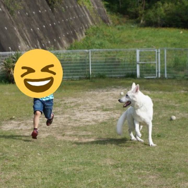 B69f8896 8b43 47d3 9ce7 58b3bef07878 1621345183372