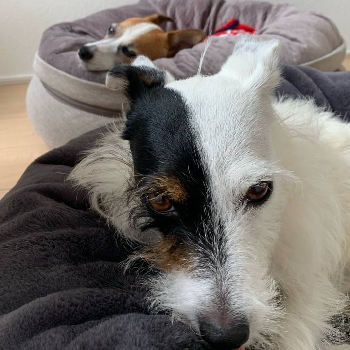 B69f938b eef6 4874 a4d2 dd0efe8acbdb 1598150015524