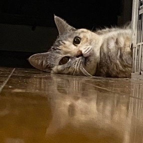 B69fec7b b603 4c6a a089 d6fb9d9788b1 1681645304221