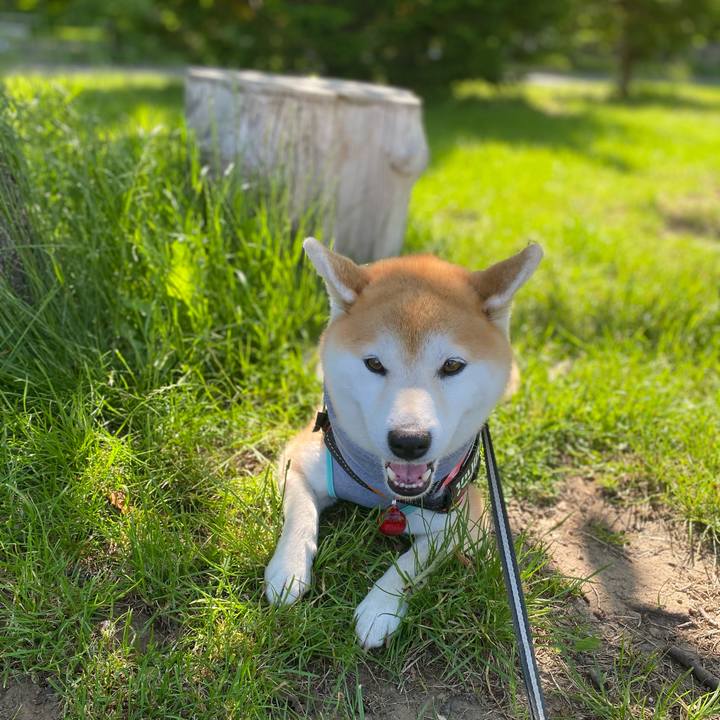 B6a00783 e3cb 4910 8918 989ebc22828c 1623372192703