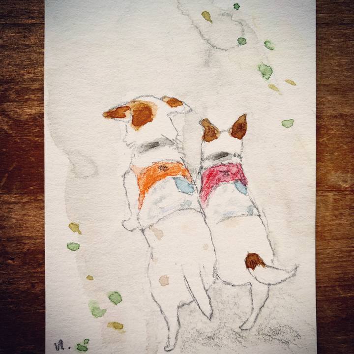 B6a01619 7619 4571 b953 c84f7b64e3c3 1611453650843