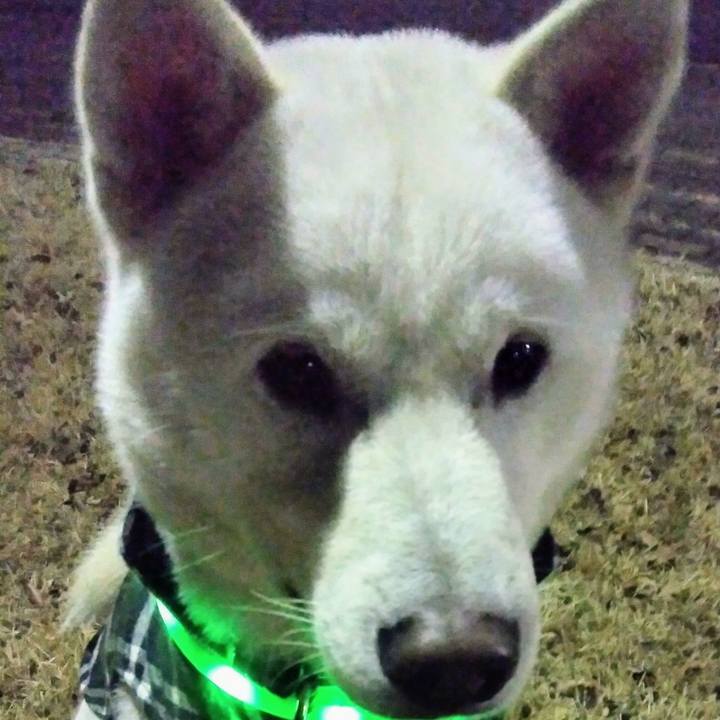 B6a0419a f4a5 428d bb77 5e3b651d7414 1513426884656