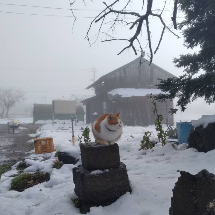 B6a065ed 879f 4d0b 8a79 5a02e79c4ad3 1765158722600