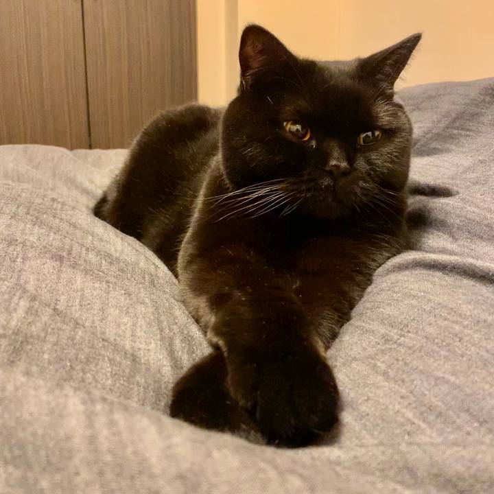 B6a08a5a 56a5 496e ac3f a20408cf6bdc 1672922293891