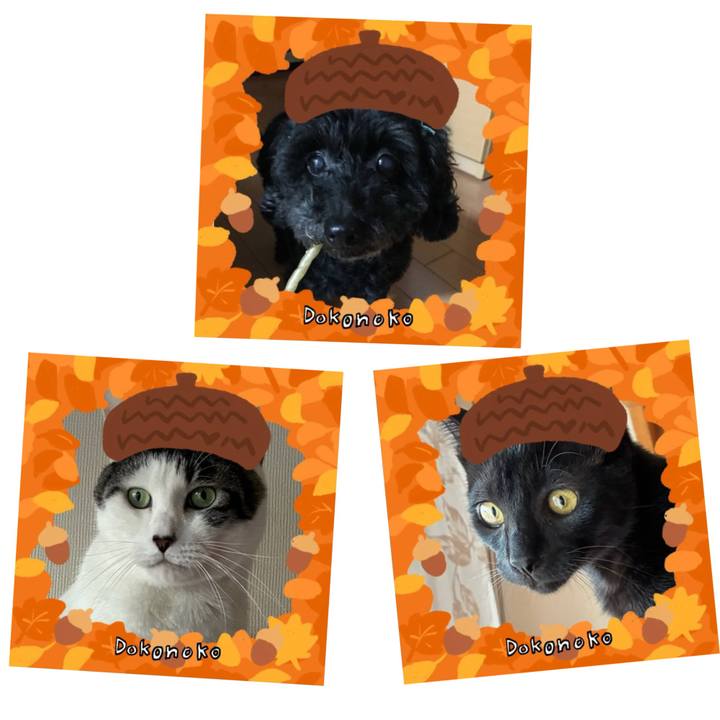 B6a0ea6c aa4e 4774 8ab0 fd4e4063b08f 1790031220930