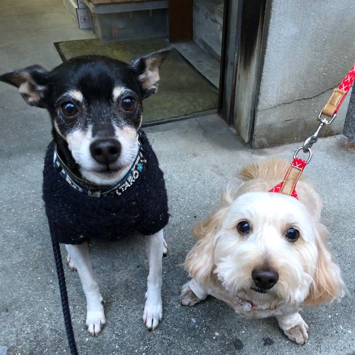 B6a10057 25c2 4954 bc4b 1a2d6a964e4a 1520345149743