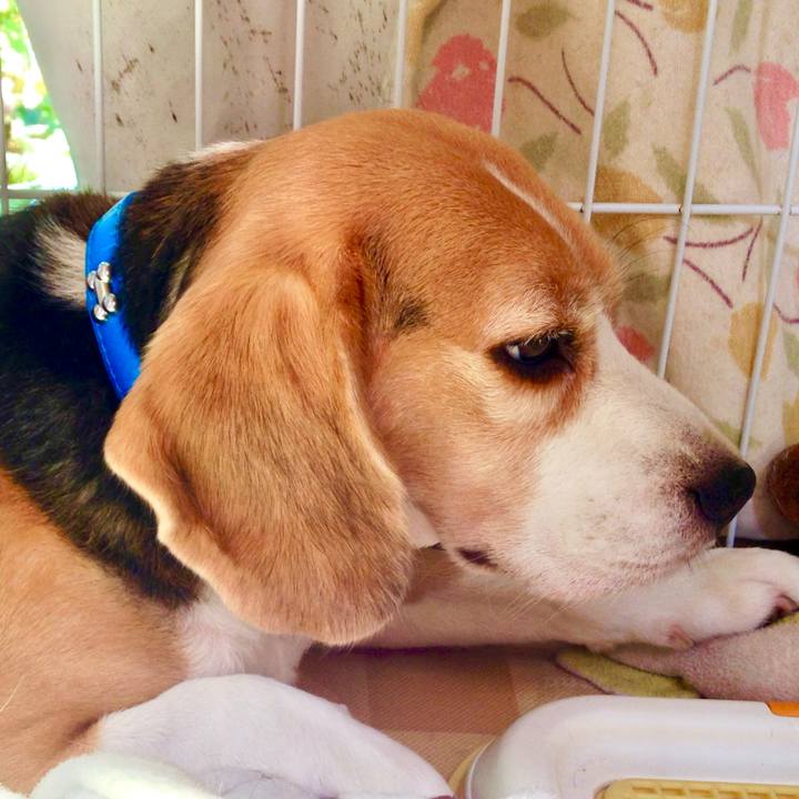 B6a11e9b 1d25 426a 9337 52cd945293e7 1753675104467