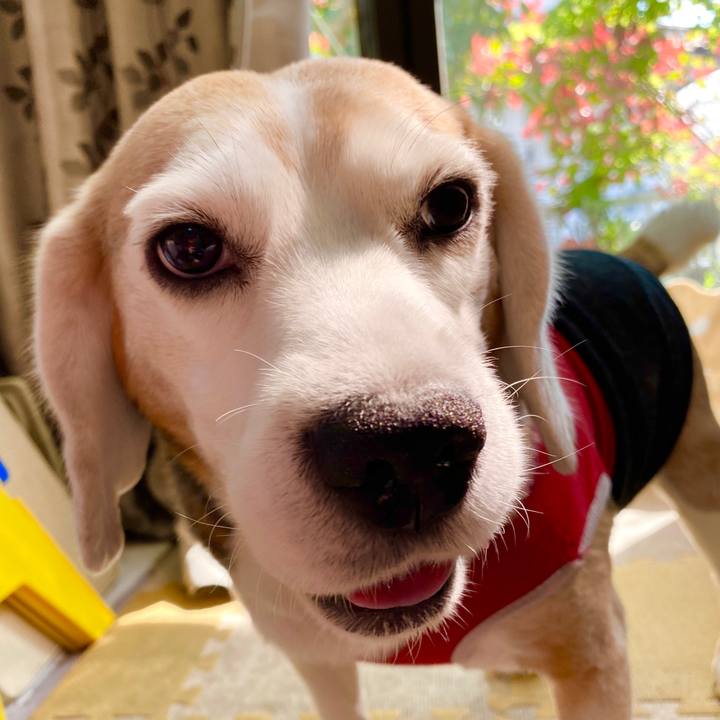 B6a1b48e e02c 462c a131 4fecd6487c57 1588225185766