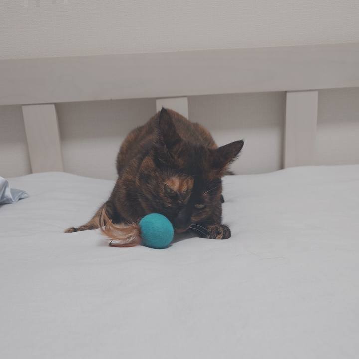 B6a1b6f7 4fee 4063 8db9 5b9322ee2aca 1757158628755