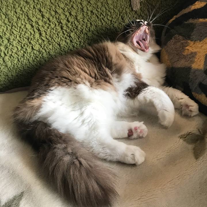 B6a22446 d3cb 489a 8ba4 fe8fb6f878c5 1522330042193