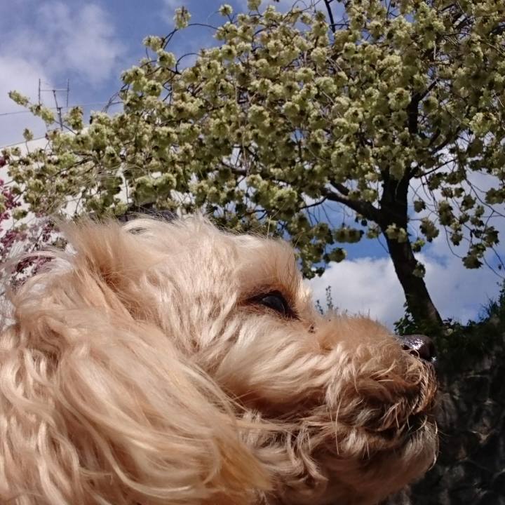 B6a2302c 1e62 4a91 8c3c 669142bb3efc 1523165702946