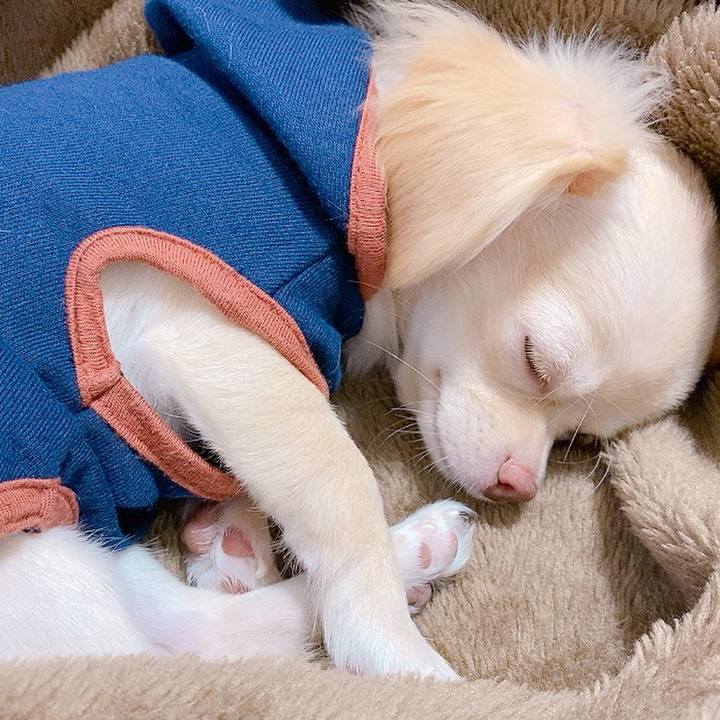 B6a23d7c a5ba 4320 8ff7 20f9a9e3cb43 1597582930491