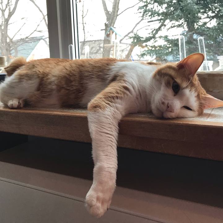 B6a243dd 8b0e 476f 8dd7 1c75fcbb1c33 1615326317526