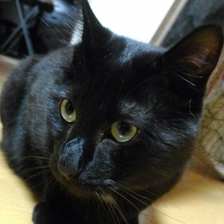 B6a26ed3 0ce3 4d9c 81f8 2472e17b89ae 1533823136425