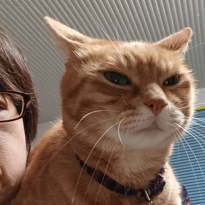 B6a27193 f6af 44dd a8e8 7cb23d76055c 1655310366538