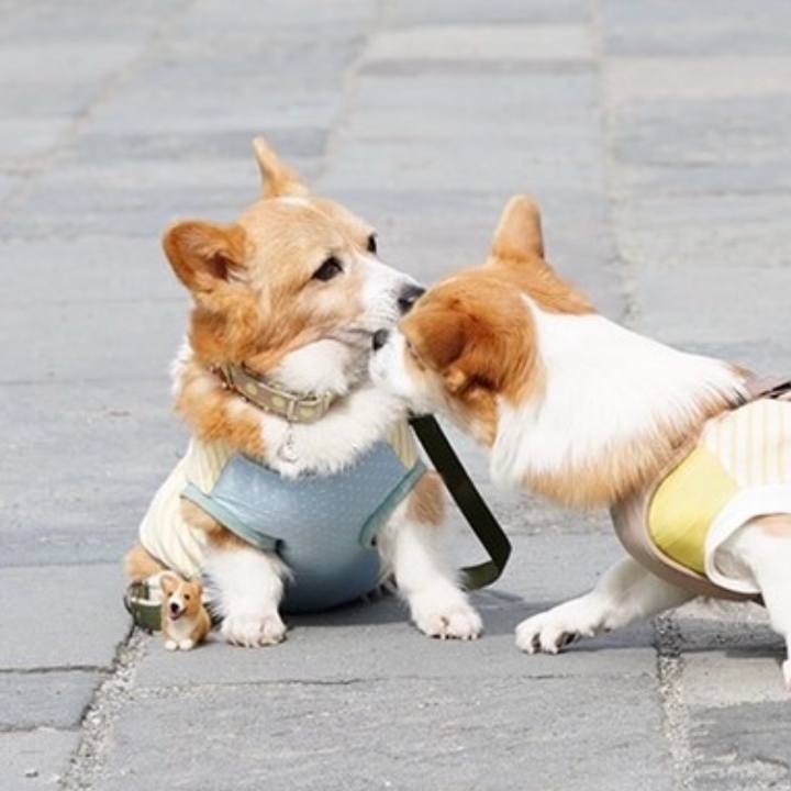 B6a28924 6ceb 41b2 ad44 1d34a3e9dd07 1605591785225