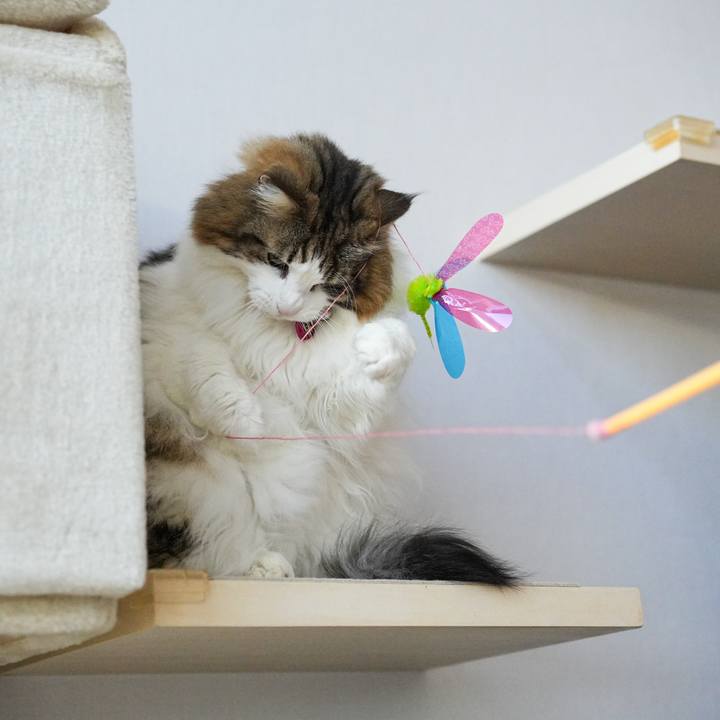 B6a289cd 4f96 4011 bc34 7db7bb2636b4 1739068348024