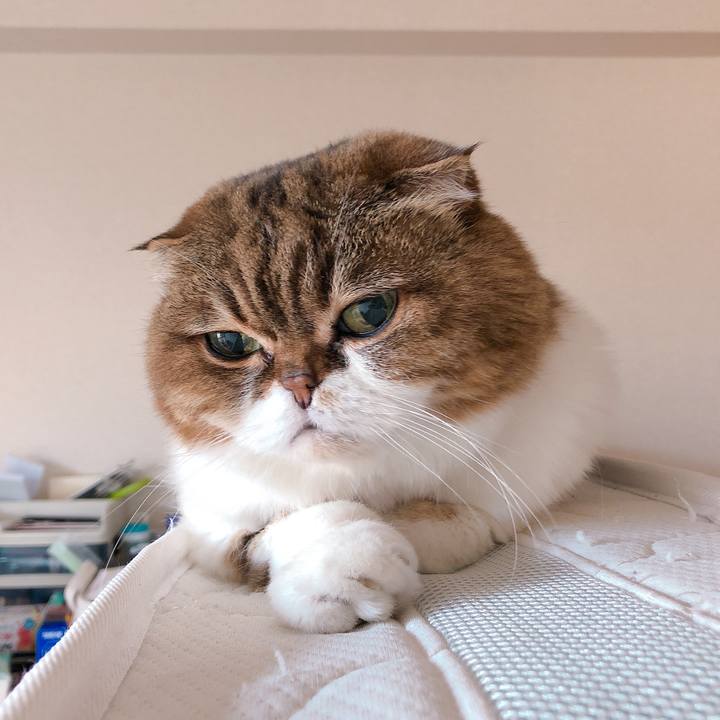 B6a2a12d 6956 430f 80c8 ff8087293f79 1613688894394