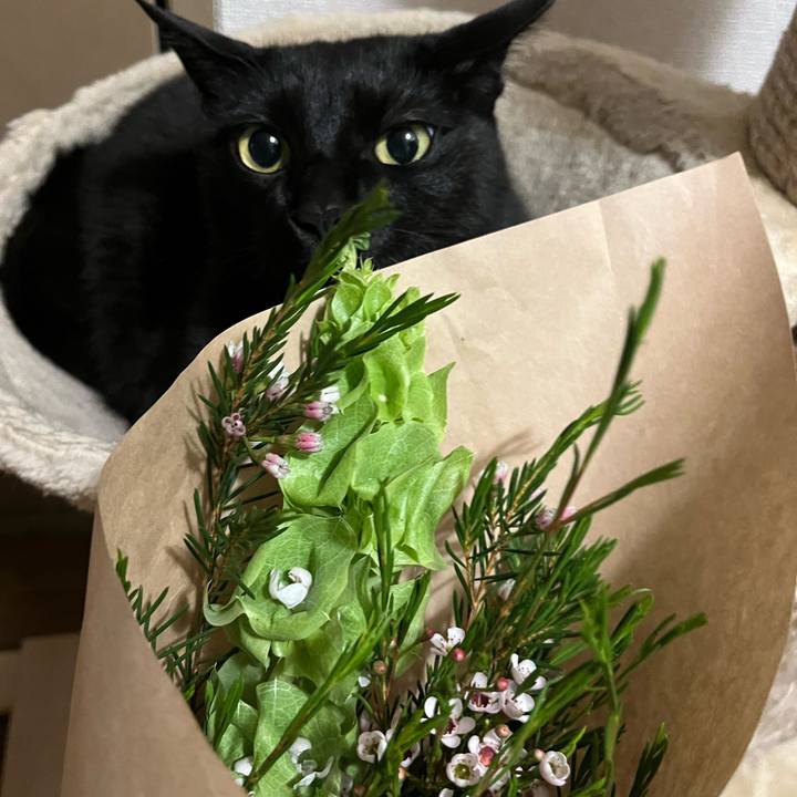 B6a2b4cd 44f7 4178 bace 4a1d07bf5f1f 1747183304795