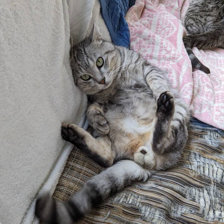 B6a2d144 bfbe 40e2 81f5 5556bf1d6ac4 1710829833758