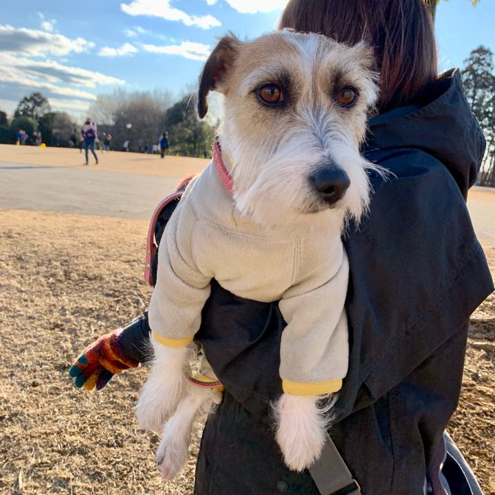 B6a2d4b8 c792 4389 98aa 2361b416e632 1645619329738