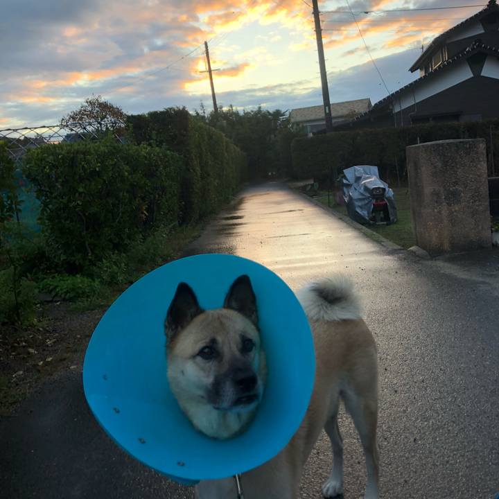 B6a2e4ba fa0a 461d 9393 a0be8ce51a50 1636718589006