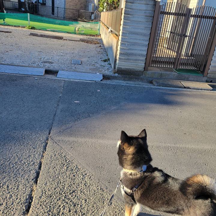 B6a2f369 58ac 4ab1 8389 c8a4d774d7fd 1769125505288