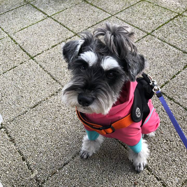 B6a3113e 5e74 4035 ae0a 8a0774b60301 1701502287473