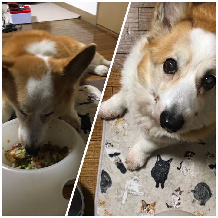 B6a329cd 6a22 4734 b592 22c7c64a5791 1549699464631