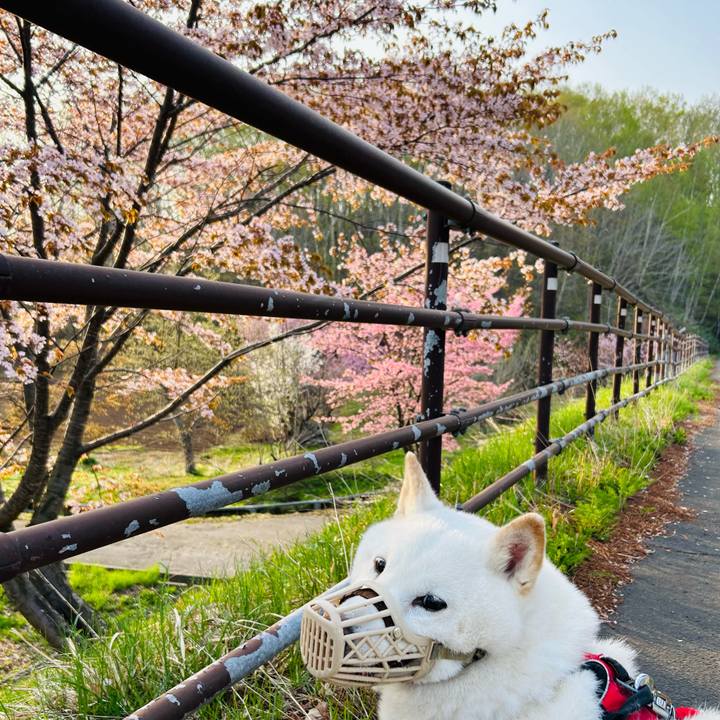 B6a34118 eb01 4cd1 8cad 420576aec841 1714254335761