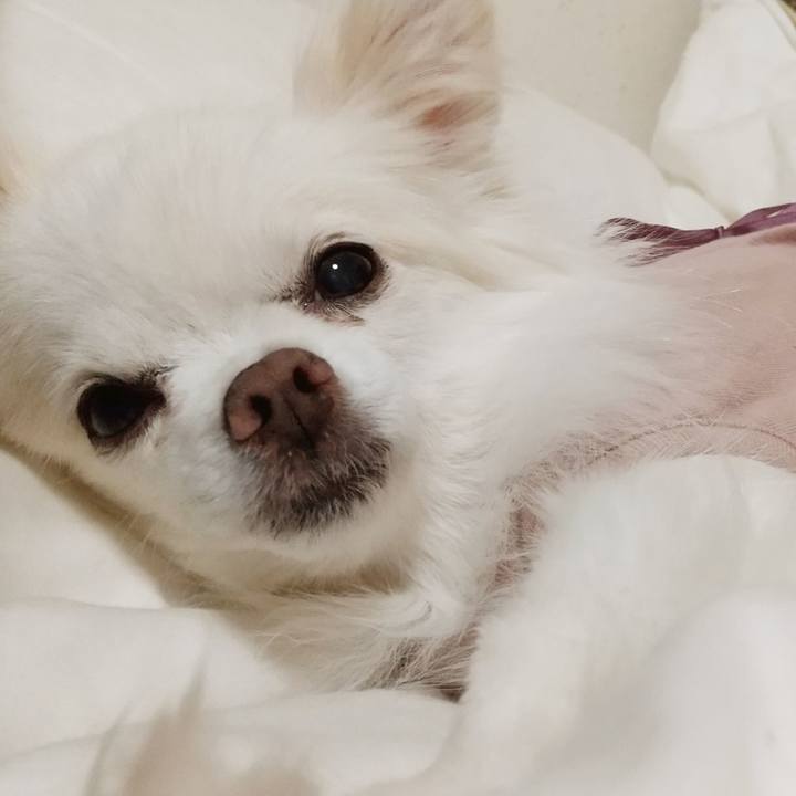 B6a378ac 052c 4fac b9b8 997be2508714 1665318467553