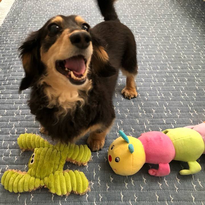 B6a37d66 7d95 4a69 a1bf 819765f0db78 1588594907168