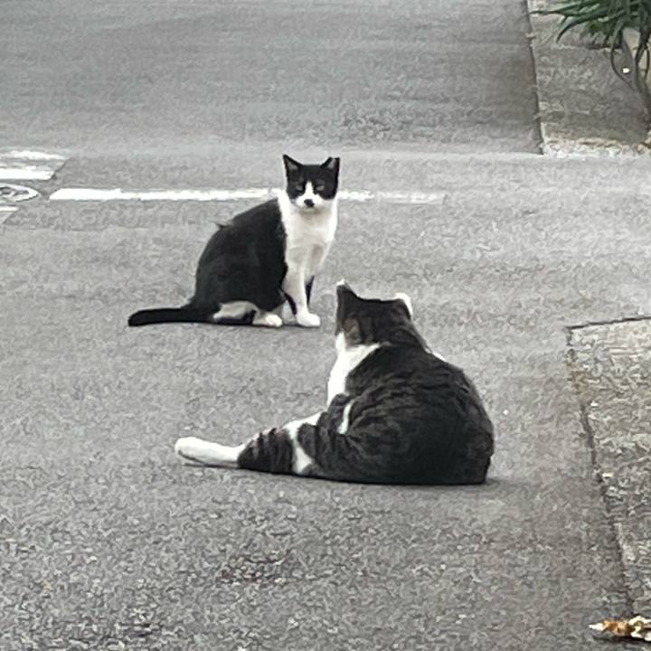 B6a393f6 f2ae 4525 a2c0 884c4f7a72b2 1632656099409