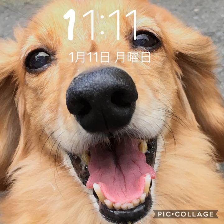 B6a3aa13 01df 4b81 83f7 936b2247e5fa 1610375420598