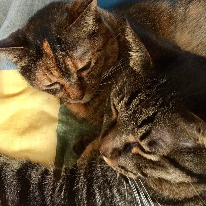 B6a42c4d b029 4c37 9823 be7cea4d1afc 1542633486765