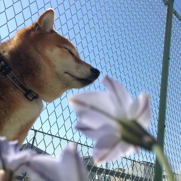 B6a44f12 8a0e 41a9 b0fb 69e668234fee 1552869796675