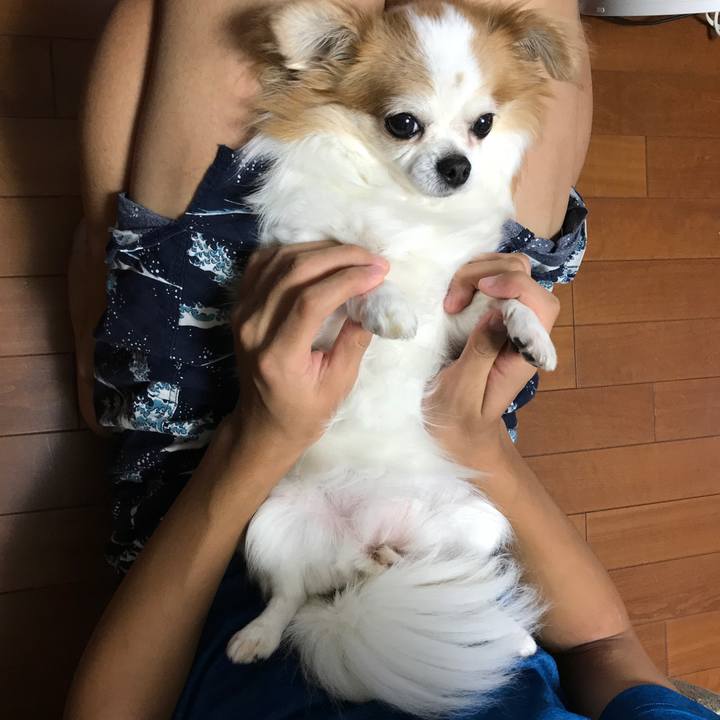 B6a48095 3143 4417 bf8b e4c91aacd74e 1566514059362