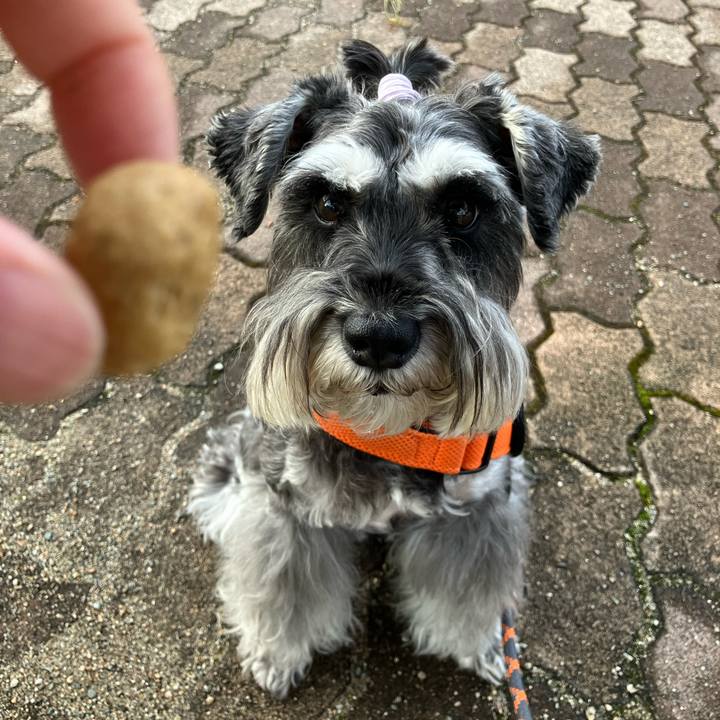 B6a48890 986d 4046 8c30 287b39103bf8 1725116099555