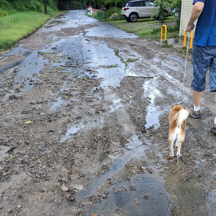 B6a4c079 6f7c 494f af4b e414708db391 1663993403949