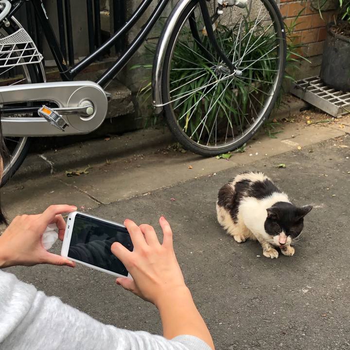 B6a4ca6a e1fe 4944 a1d6 8c88919406e7 1568615158309