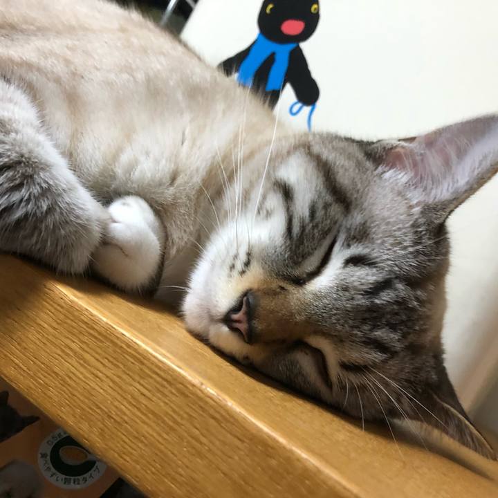 B6a4ccf0 a452 4845 bab1 95ea8986cce3 1630419617177