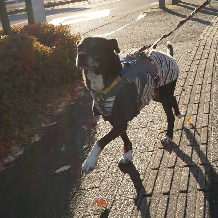 B6a4dbc3 bd69 48d8 b6cf 1f8eb65ebf33 1766711127412