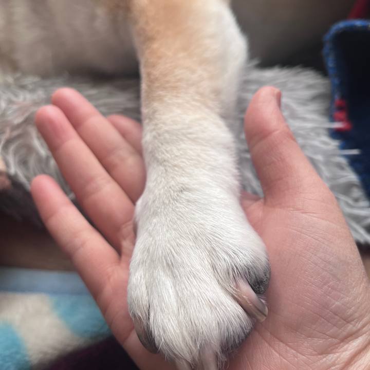 B6a5088a 1e4e 4144 b0e0 5796feef393f 1703893054835