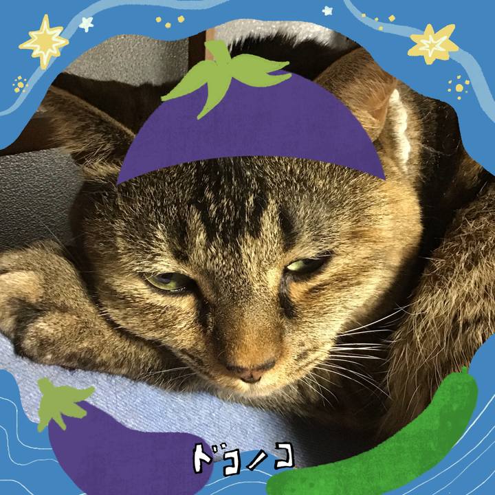 B6a519bc 280e 453f 8f8d 36c43e8a9716 1755244604621