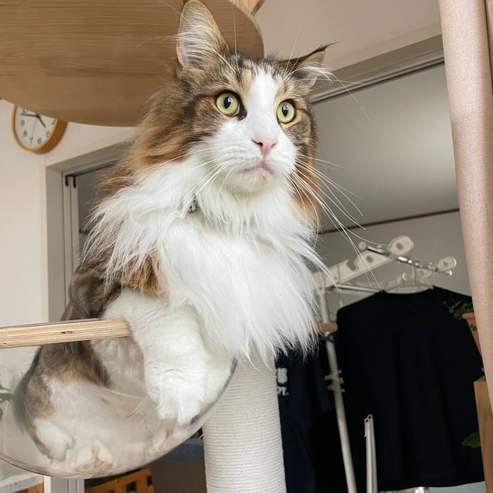 B6a5315d 56e5 4af0 a66d 3bdc14c5dfaa 1688413924442