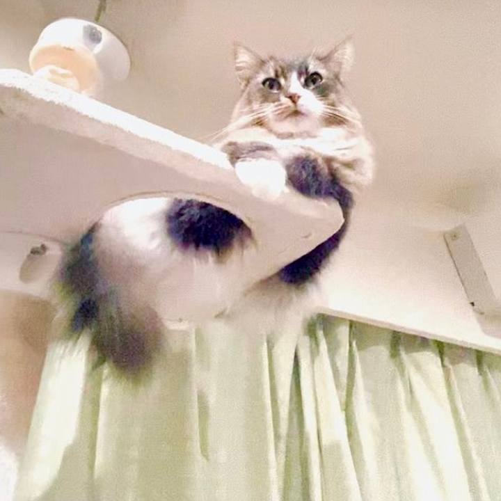 B6a538d6 b3a2 45d2 b4ac fac03f061cbd 1646500819922