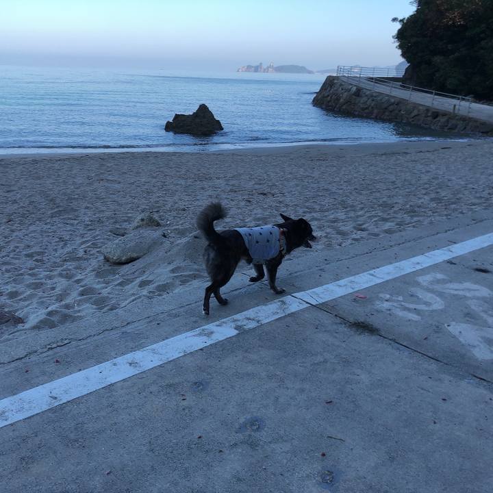 B6a5b05e 9062 4cc7 bb58 eb68887b87d7 1597711219315