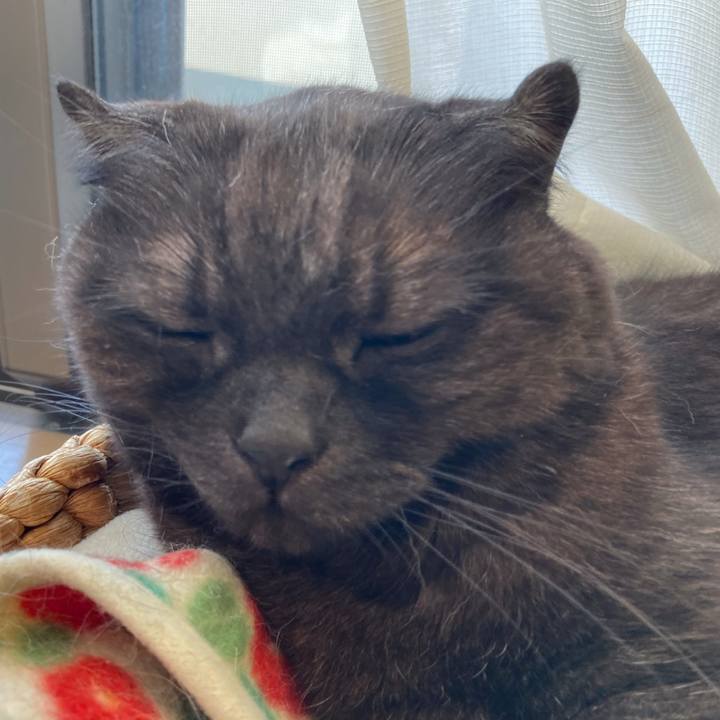 B6a5bfc3 1b38 485f 865d c49551600894 1616514473794